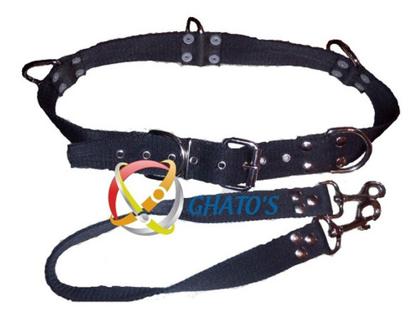 Cinturón Paseador De Perro - Fitness) 40mm - Talle 2(101 Cm) 0 Cinturón Paseador De Perro - Fitness) 40mm - Talle 2(101 Cm) 0