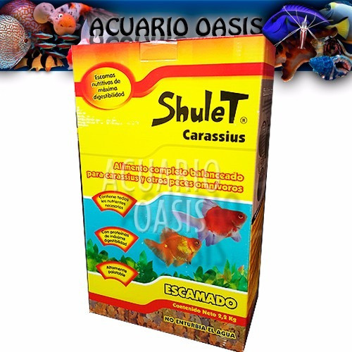 Shulet Carassius 2,2 Kg - Peces Agua Fría Acuario - Envíos 1
