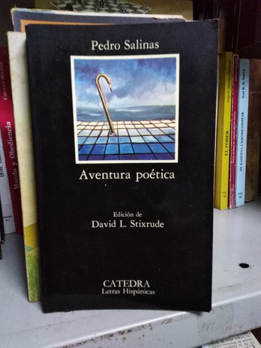 Aventura Poetica - Pedro Salinas 0