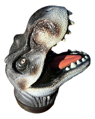 Cabeza De Dinosaurio Con Mini Dinosaurios Dentro - Marca Des 0