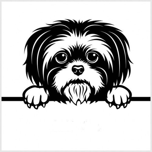 Calco Perro Shi Tsu  Shitsu Raza De Perritos Ploteo 0