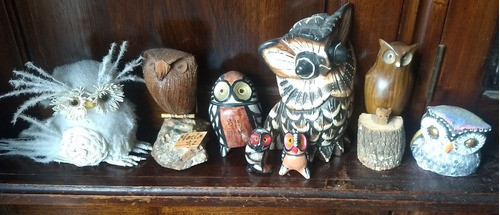Lechuzas Y Buhos- Coleccion- Decoracion 0