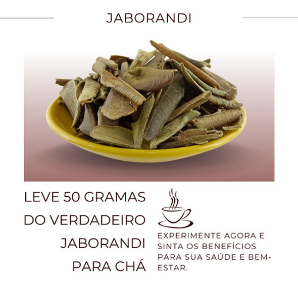 Chá Jaborandi Folhas | Jaborandi-do-maranhão | Queda Cabelo 1 Chá Jaborandi Folhas | Jaborandi-do-maranhão | Queda Cabelo 1