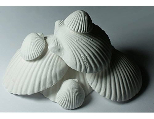 Paquete De 3 Minerales Naturales Weco Wonder Shell 1