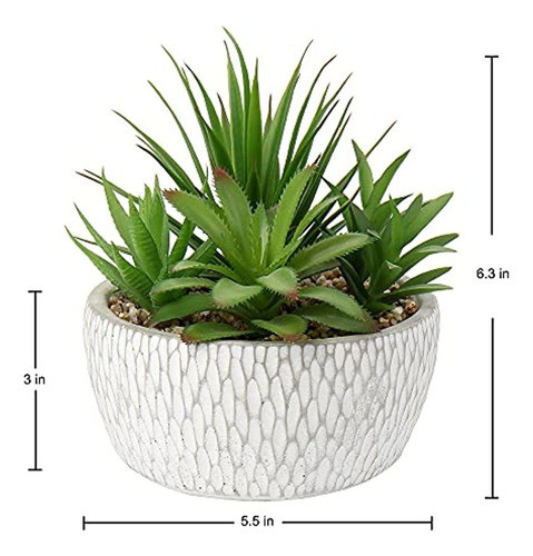 Plantas Falsas Pequeñas Surtido De Suculentas Falsas En Mace 1