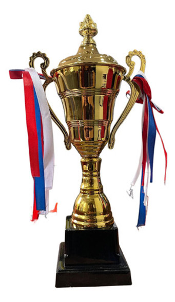 Copa Trofeo De Campeon 29cm Futbol Deportes Varios C Asas 1