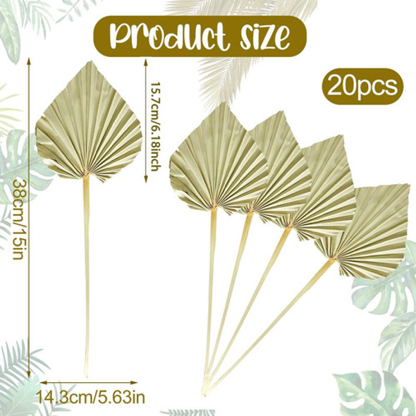 20 Hojas Palma Secas Bohemias, Pequeñas Hojas Palma Secas 1