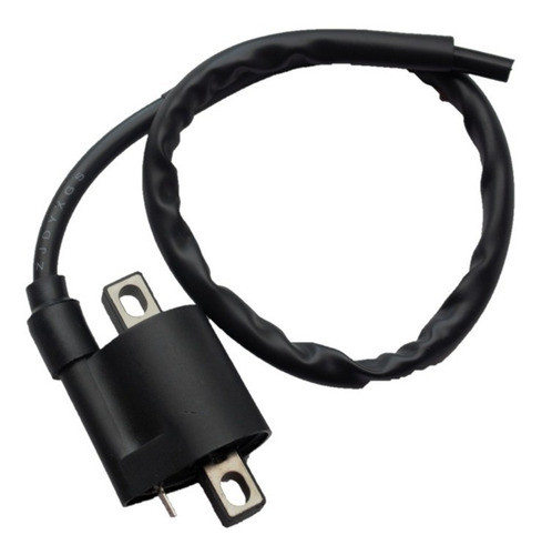 Bobina De Alta Tension Corven Hunter 150 0