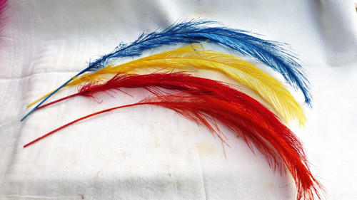 Plumas Avestruz Color Chicas 1