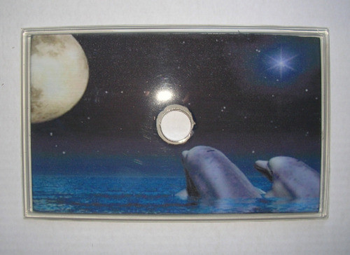 Tapa Para Depósito Decorada De Resina Poliester Delfines 1