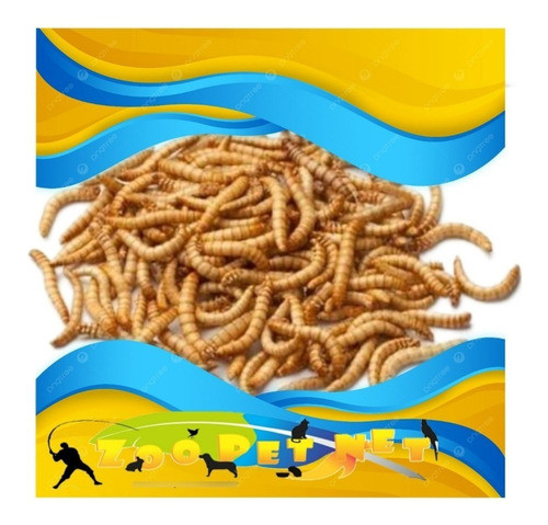 Tenébrio Molitor 250gr  Proteína P/ Ave Peixe Répteis Roedor 0