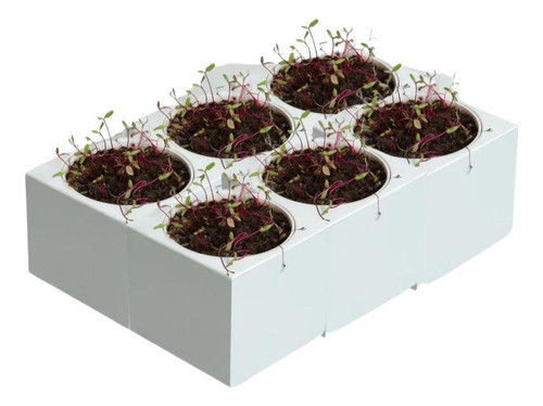 Kit Horta Inteligente Jardim Gourmet Cinza Claro 0
