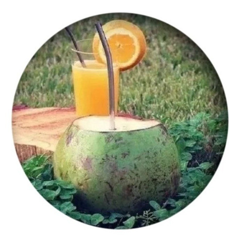 Canudo Holográfico Kit Escova Limpeza 3 Peças Inox 555mtzifc 0