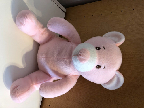 Osito Oso De Peluche Chiquito 26cmx21cmx18cm 0