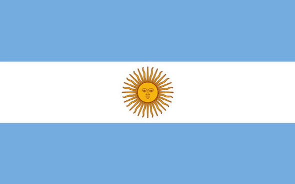 Bandera De Argentina Oficial 90 X 150 Cm 1