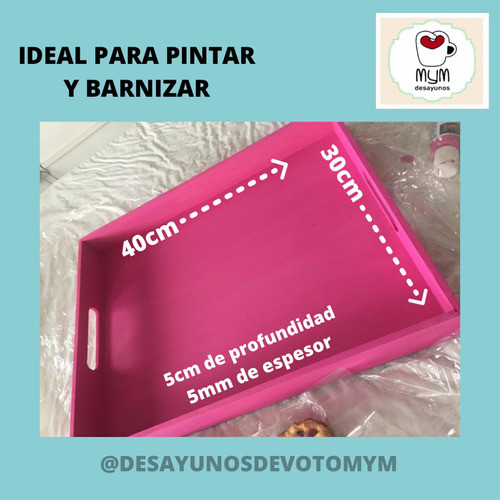 Bandeja Desayunos 30x40x5  Pack X 10 Unidades 1
