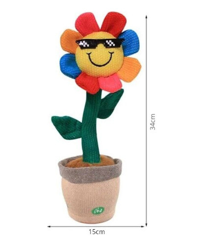 Girasol Bailarín Con Muisca Repite Baila Recomendado Mli 1