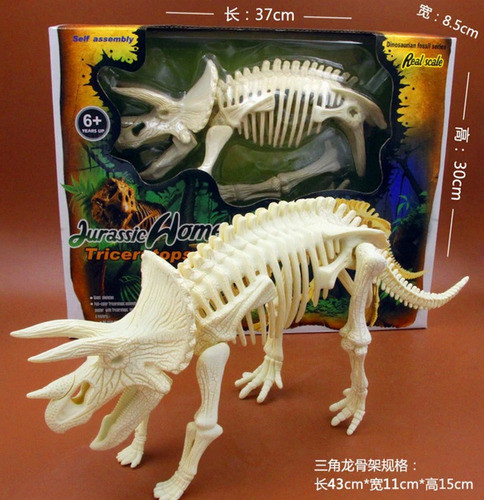 Esqueleto De Dinosaurio Triceratop + Poster A Color 1
