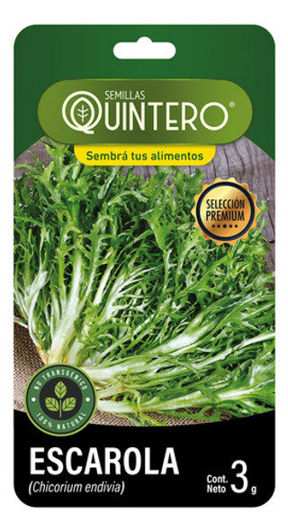 Semillas De Escarola Quintero- Grin Wall 0 Semillas De Escarola Quintero- Grin Wall 0