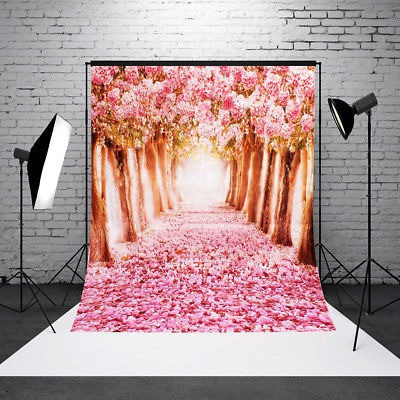 Vinilo 5x7ft Sakura Camino Camino Floral Studio Foto Fondo F 1