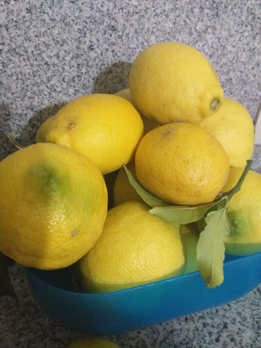 Limones Organicos Sin Pesticidas ,directos De La Planta! 0
