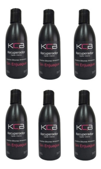 Recuperador Capilar Intenso X 250 Cc - Kcb X 6 Unid 0 Recuperador Capilar Intenso X 250 Cc - Kcb X 6 Unid 0