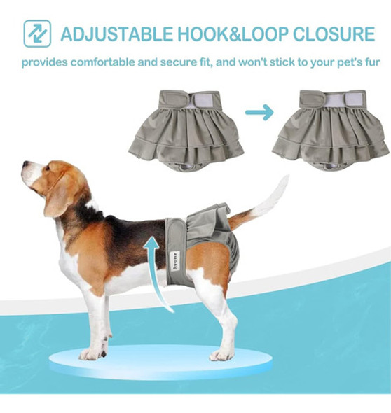 Avont 3 Pack Pañales Lavables Para Perros Hembra (xs / 6-8.5 1