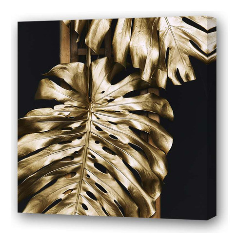 Cuadro 45x45cm Oro Hojas De Adan Monstera Plantas Deco M2 0