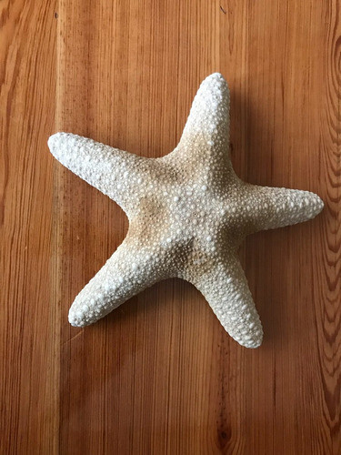 Estrella De Mar 0