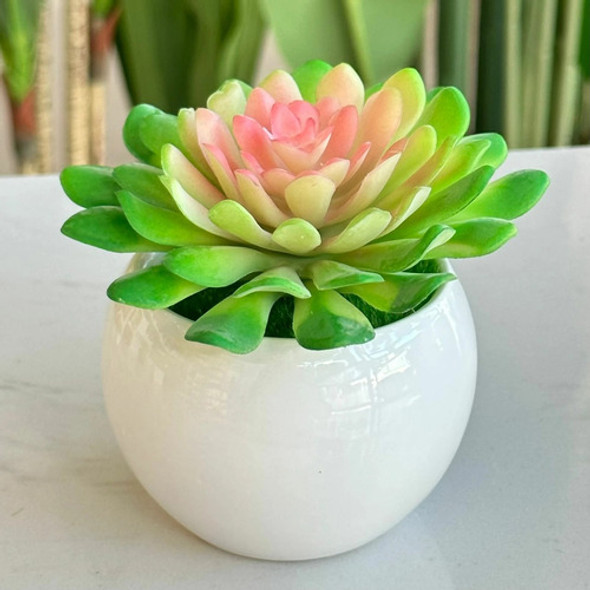 Planta Artificial Cactus Maceta Cerámica A 6cm X Ø 8cm 0