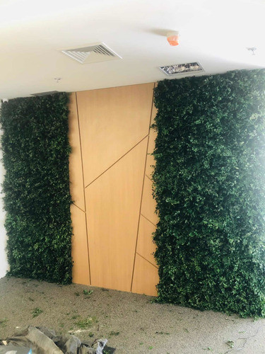 Placa Jardim Vertical Natural Desidratado 50x100 Preservado 1