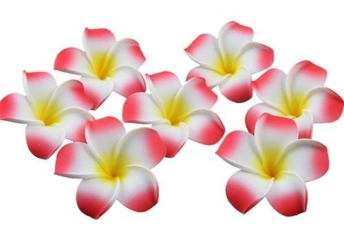 100 X Plumeria Espuma Hawaiana Frangipani Pétalos De Flores 0