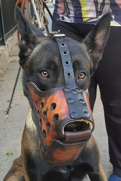 Bozal De Impacto Sueco Con Mordiente 1