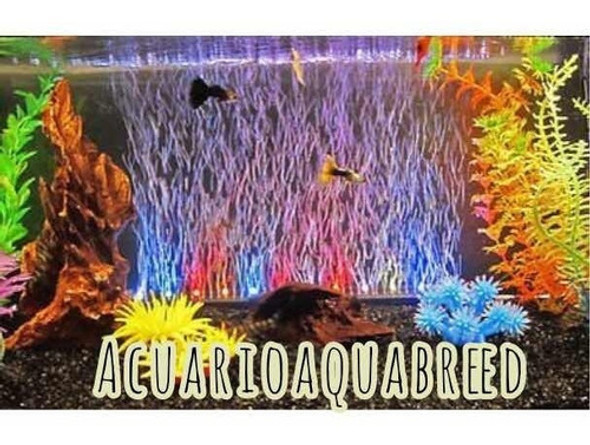 Difusora De Aire Con Luz Led Sumergible Rs A46 Cm Acuarios 0