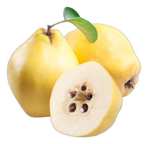 Membrillo Árbol Frutal 0