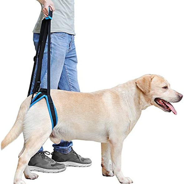 Rantow Perros Ajustables Para Mascotas Arnes De Soporte De 0 Rantow Perros Ajustables Para Mascotas Arnes De Soporte De 0
