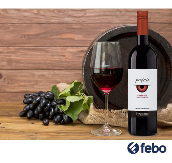 Vino Tinto Pizzorno Profecia Cabernet Sauvignon 2020 Febo 1