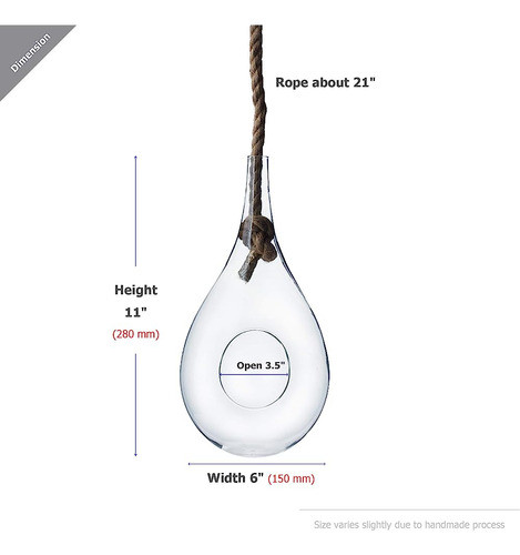 ~? Wgv Terrario Plantador Colgante, Ancho 6 , Alto 11 , Diy 1