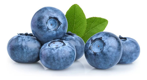 Arandanos Congelados Para Mermeladas O Jugos X 5 Kilos! 0