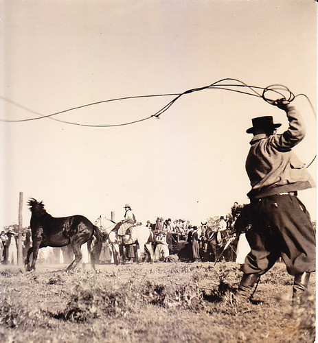 Foto Gaucho Campo Argentino Jinete 0