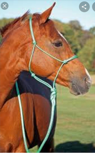 Jaquima  Bozal De Nudos  Soga Nautica Con Cabrestro 0