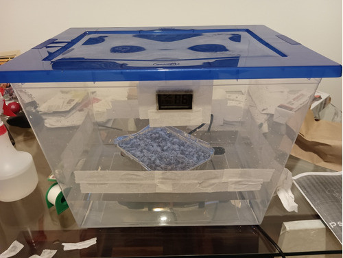 Kit De Cultivo Hongos Monotub Para El Cultivo De Setas 0