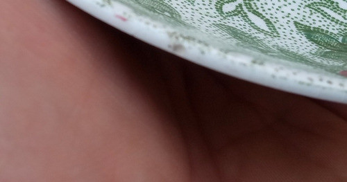 Antiguo Plato De Te Loza Rodolfo Eisler England 15cm Diam. 1