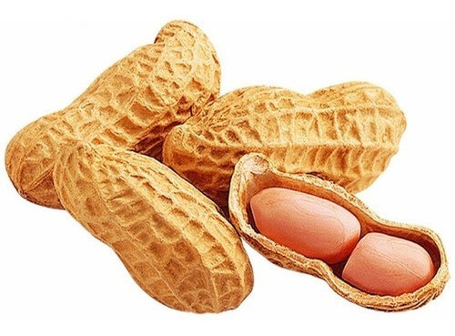 Amendoim Cru Em Casca 1kg - Qualidade Premium - Promoção 0