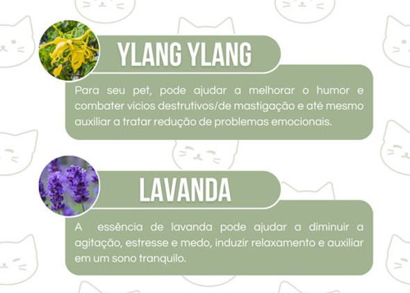 Spray Pet Cao Gato Alivio Acalmar Latidos Melhor Sono Natura 1 Spray Pet Cao Gato Alivio Acalmar Latidos Melhor Sono Natura 1