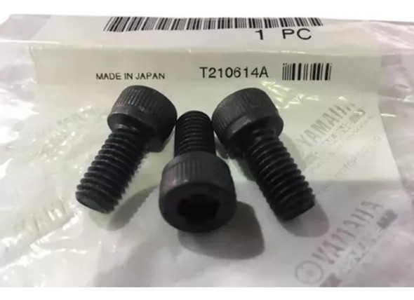 Juego De Tornillos De Bendix Yamaha Ybr Xtz 125 Todas 1 Juego De Tornillos De Bendix Yamaha Ybr Xtz 125 Todas 1
