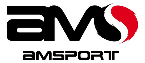 Paletero Vairo Equipment 1