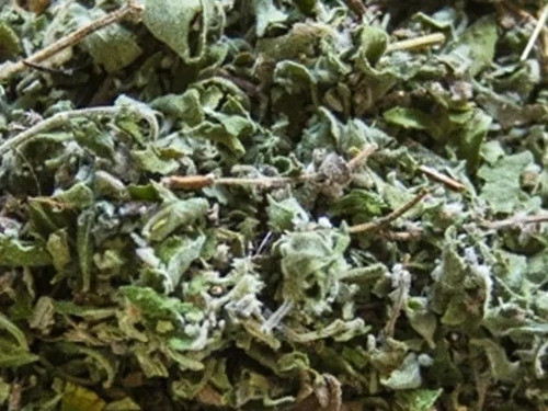 Peperina Seca  Premium X 1 Kg Especias $od 1