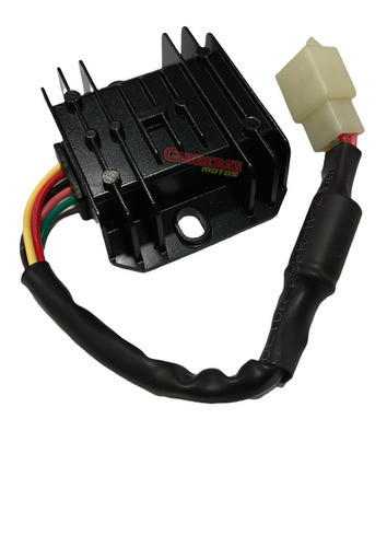 Regulador De Voltaje C/condensador 5 Cables Ficha Hembra Vin 0