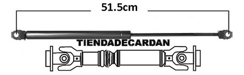 Kit X2 Amortiguadores Porton Baul Trasero Bmw X6 1